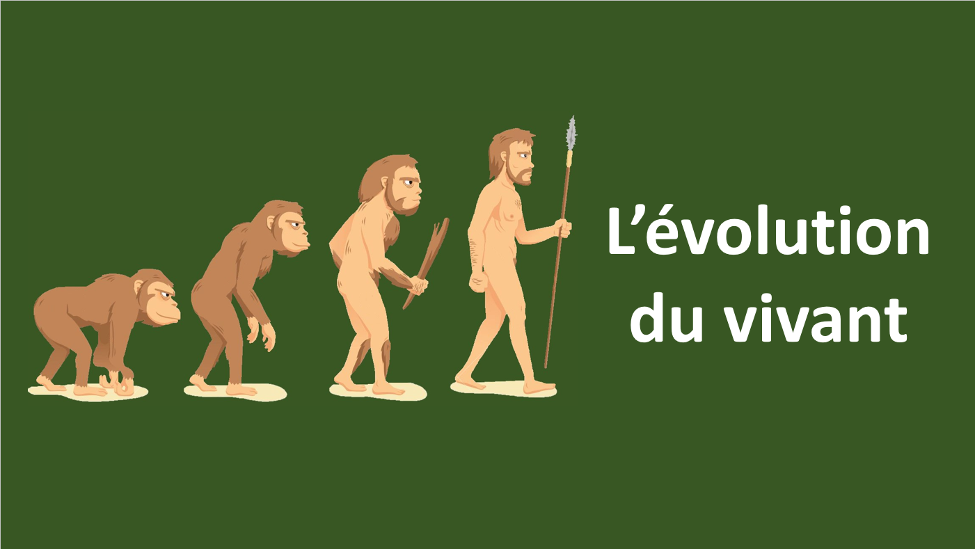 ÉVOLUTION DU VIVANT - S.V.T. Diderot